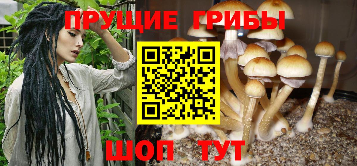Псилоцибиновые грибы MAGIC MUSHROOMS  Вход с VPN  Галлюциногенные грибы прущие грибы  Павлово 